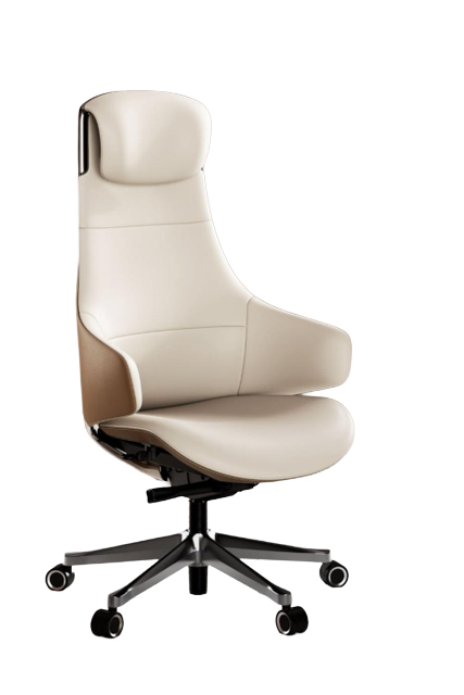 Chairs You'll Love — ConchCasa